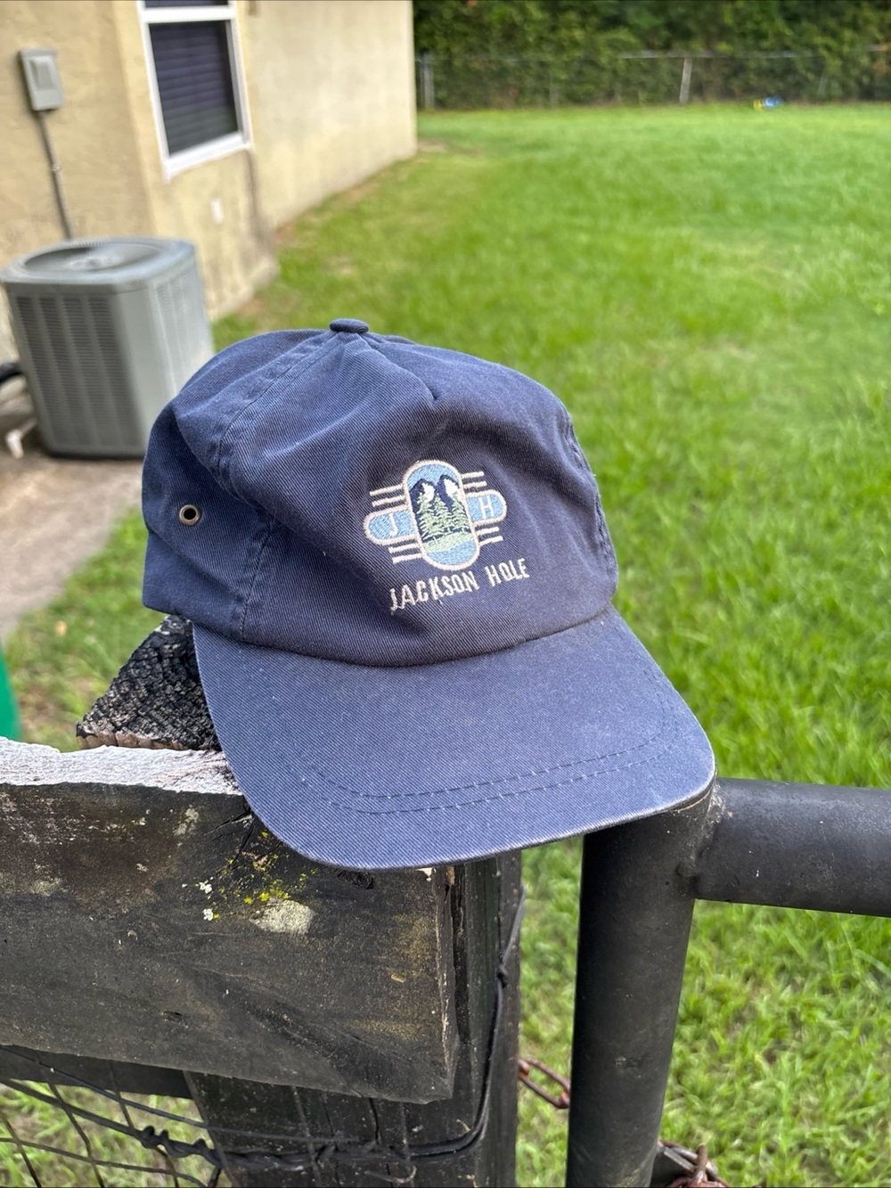 Vintage Jackson Hole Navy Blue Embroidered Baseball Cap